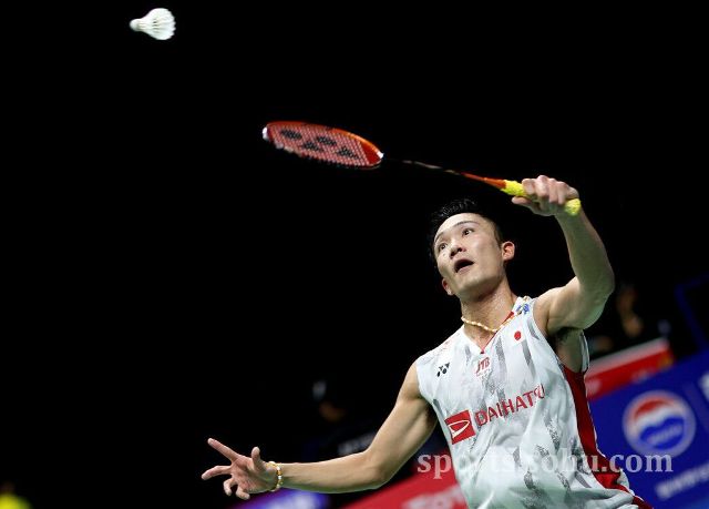 她们善于观 她们善于观